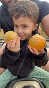 Salve o Henrique imagem 7