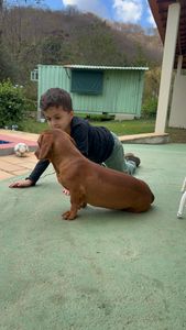 Saúde e Emergências - Salve o Henrique