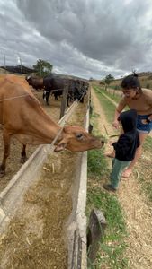 Salve o Henrique imagem 10