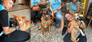 Apadrinhe nosso Projeto! imagem 9