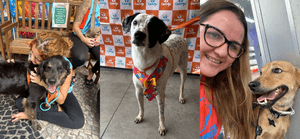 Apadrinhe nosso Projeto!