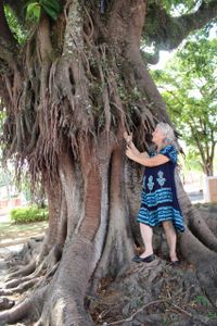 Pré-publicação Livro  imagem 9