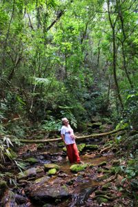 Pré-publicação Livro  imagem 7