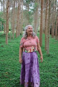 Pré-publicação Livro  imagem 6