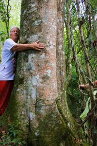 Maria da Fé/MG - Pré-publicação Livro 