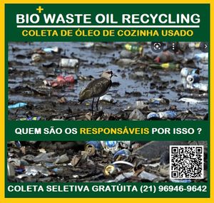 PAULO  SALLES  - Educação Ambiental nas Escolas - Precisamos de sua Ajuda