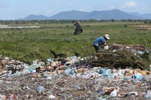 /CE - Ajuda comunitária 