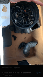 Crowdfunding - Ajude-me a recuperar minha liberdade: Restaurando a vida do meu amado Picanto 2010