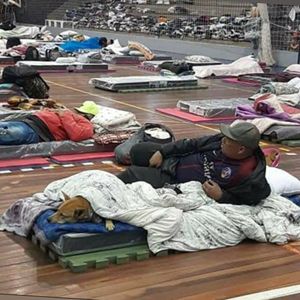 LIXO QUE SE TRANSFORMA EM ALIMENTOS & PRESERVA A NATURE imagem 7