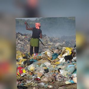 Deraldo Assis - LIXO QUE SE TRANSFORMA EM ALIMENTOS & PRESERVA A NATURE