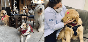 Calendário 2023 da ONG Patas Therapeutas