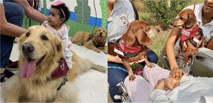 Calendário 2023 da ONG Patas Therapeutas