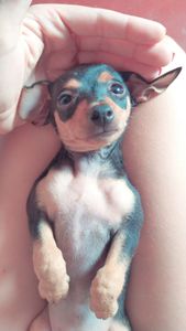 Vaquinha Online - Ajude no tratamento da Olívia