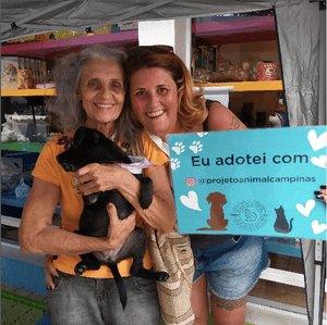 URGENTE! Nossos animais precisam da sua solidariedade imagem 6