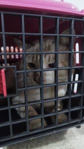 Caridade e Filantropia - HIRO PRECISA DA SUA AJUDA