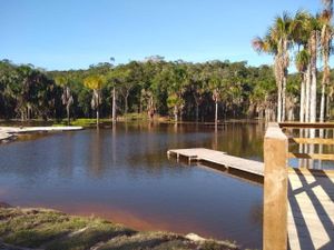 Empreendedorismo e Pequenos Negócios - LOTES PARA CHÁCARAS A VENDA NA AM-010 - COMPRE O SEU!