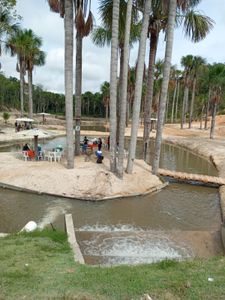 Manaus/AM - LOTES PARA CHÁCARAS A VENDA NA AM-010 - COMPRE O SEU!