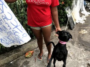 Ajudem o Rogerio e Juliana, moradores de rua (Fort-CE) imagem 7