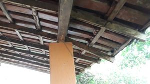 Caridade e Filantropia - Um telhado para Sonorita