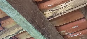 Um telhado para Sonorita imagem 7