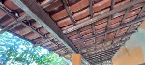 Um telhado para Sonorita imagem 6