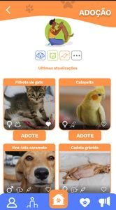 Patinhas Protegidas: O futuro é agora imagem 8