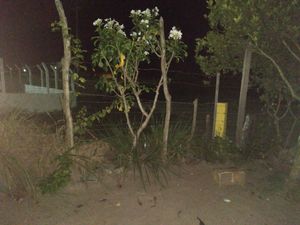 Vaquinha Online - Me ajude a fazer o muro da minha casa