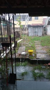 CANIL SOLIDÁRIO : ACOLHER, CUIDAR, TRATAR E ADOTAR   imagem 9