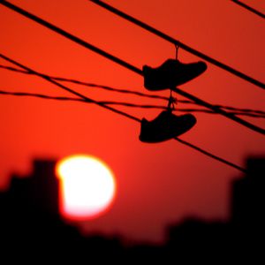 Vaquinha João Sal imagem 9