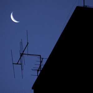 Vaquinha João Sal imagem 10