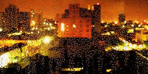 Fotografia - Vaquinha João Sal