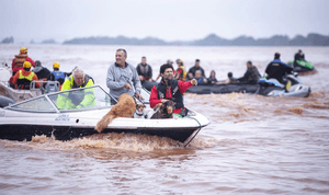 Vaquinha Online - Ajude as vítimas das tragédias no Rio Grande do Sul! Sua ajuda é urgente e crucial.