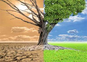 Crowdfunding - "Ameaças reais do aquecimento global"