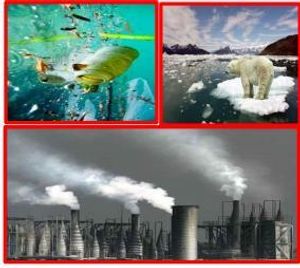 "Ameaças reais do aquecimento global" imagem 7