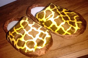 Crowdfunding - Preciso de capital de giro 