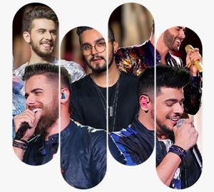 O MAIS INOVADOR E DEMOCRÁTICO FESTIVAL DE MÚSICA DO BRASIL imagem 6