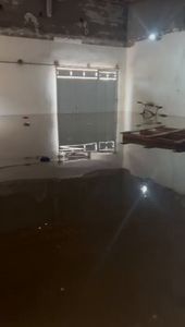 SOS - Família Sales imagem 9