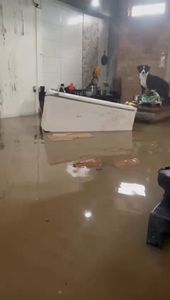 SOS - Família Sales - SOS - Família Sales