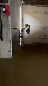 SOS - Família Sales imagem 8