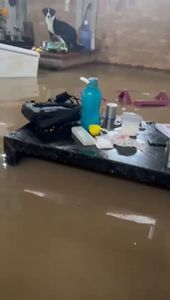 Saúde e Emergências - SOS - Família Sales