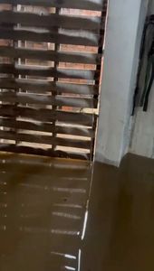 SOS - Família Sales imagem 7