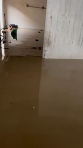 SOS - Família Sales imagem 6