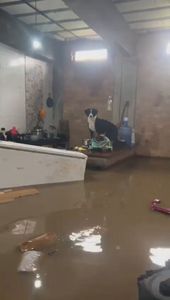 Tobias Barreto/SE - SOS - Família Sales