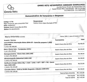 Animais - Corrente do bem - Comunicações Intuitivas (Rebeka) - Internação Mãezinha e Filhotes