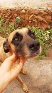 Juazeiro do Norte/CE - AJUDA para a cirurgia e tratamento de C.A de Lisa!