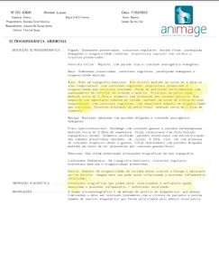 Ajude o gatinho Lucas a continuar seu tratamento contra a insuficiência renal crônica  imagem 6