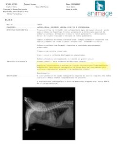 Ajude o gatinho Lucas a continuar seu tratamento contra a insuficiência renal crônica  imagem 9