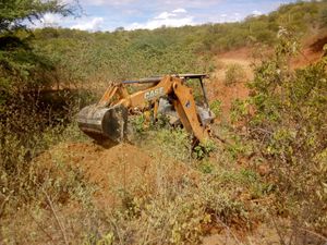 Crowdfunding - Vamos tirar Ouro?
