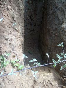 Financiamento Coletivo - Vamos tirar Ouro?