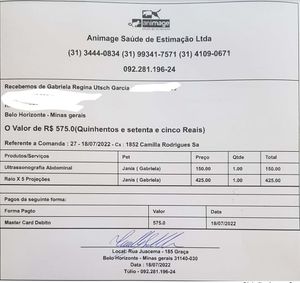 Vaquinha Online - Cirurgia para tratar a gatinha Janis